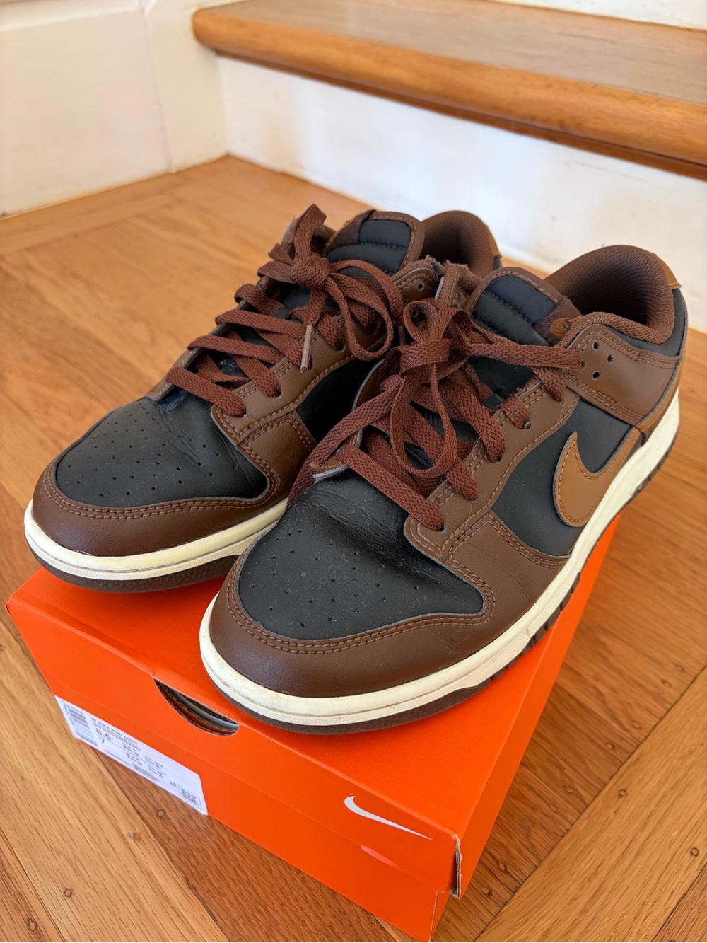 Nike Men’s Dunk Low Retro Sneakers in Brown and Black